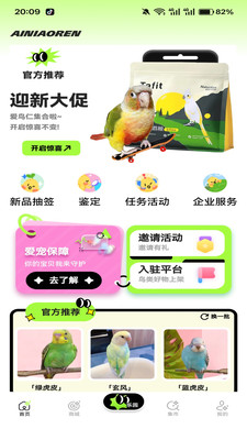 爱鸟仁