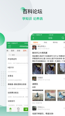 中信网—信鸽信息网