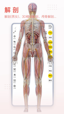 3Dbody解剖-体积小，电脑端同步