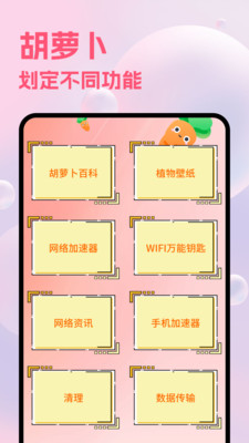 胡萝卜-加速器