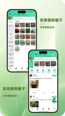 踏遍景观植物词典
