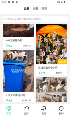 握爪-云助养2周再领养