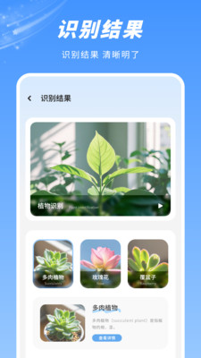 拍照识图-识别