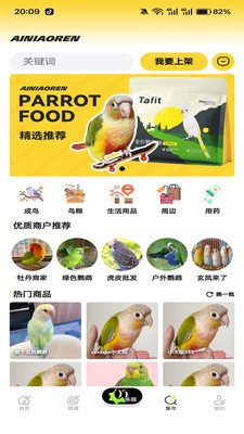 爱鸟仁