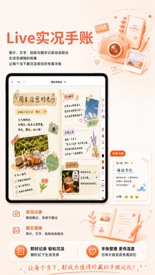 享做笔记-闪卡思维导图