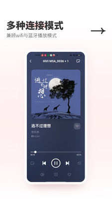 Swan Audio