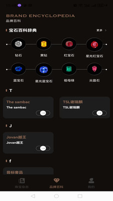 世界宝石-宝石盒