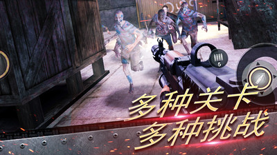 真实战地精英