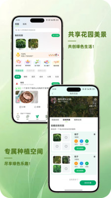 踏遍景观植物词典