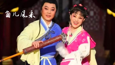 黄梅迷-黄梅戏艺术传统戏曲文化