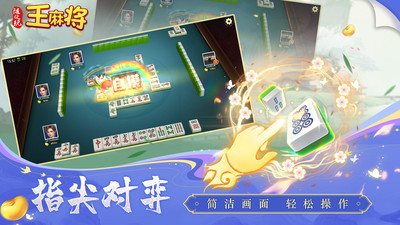 随便玩王麻将