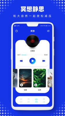 声波助手-sonic