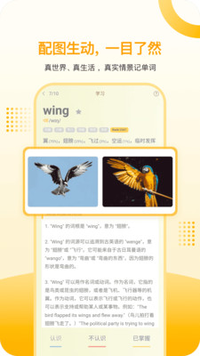 过目不忘单词-懂了再背记词快3倍