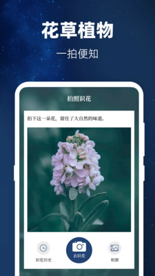 验钞工具-手机验钞