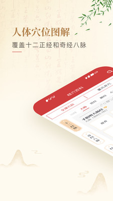 人体穴位图解-经络穴位医学图谱
