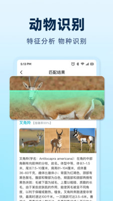 AI挑水果