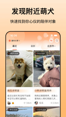 爱犬-狗狗无偿帮遛帮养社区