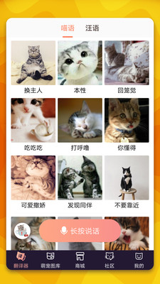 猫语翻译器