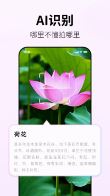 小来早晚安