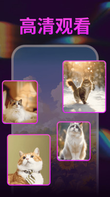 私人视频全能播放器