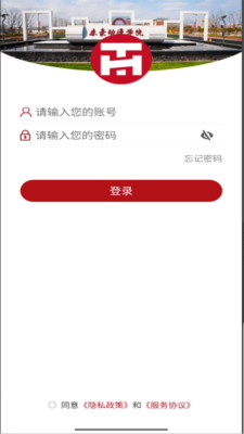 泰豪动漫