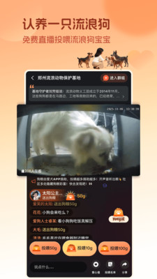 爱犬-狗狗互助陪伴社区