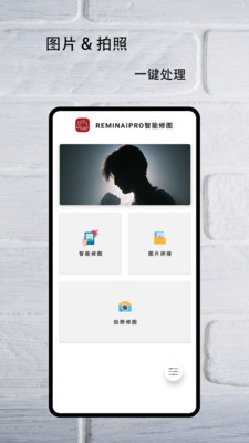 Reminaipro智能修图