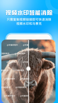 指尖虚拟摄像头-视频通话模拟