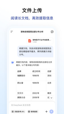 DeepSeek-AI 智能对话助手