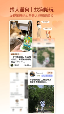 爱犬-狗狗互助陪伴社区