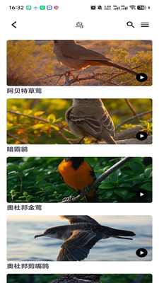 小悦耳
