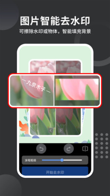视频去水印帮手