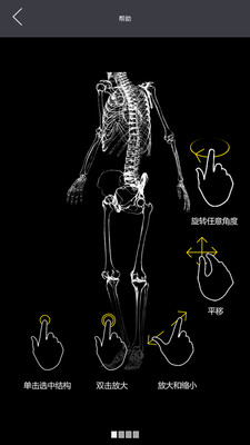 3dbody解剖