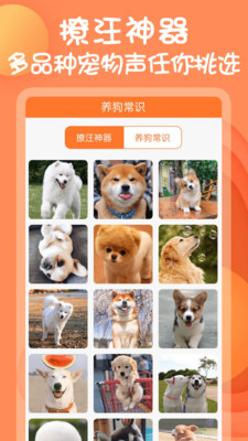 狗语翻译器软件-狗语翻译器