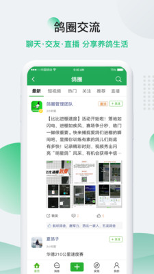 中信网—信鸽信息网