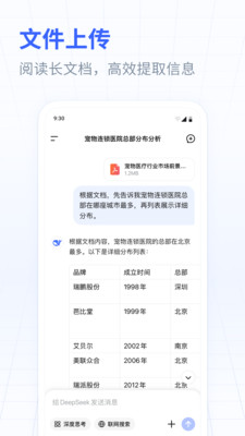 DeepSeek-AI 智能对话助手