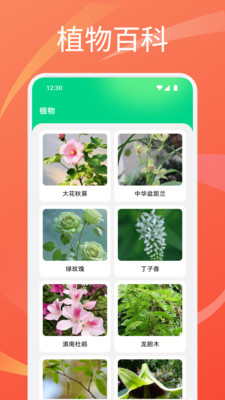 趣享花园