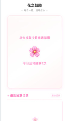 花语缤纷