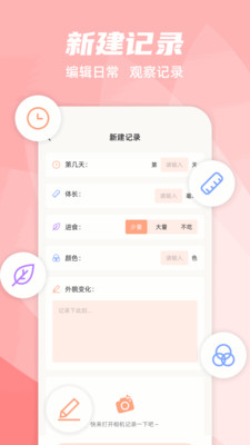 养蚕日常