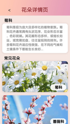我爱开花