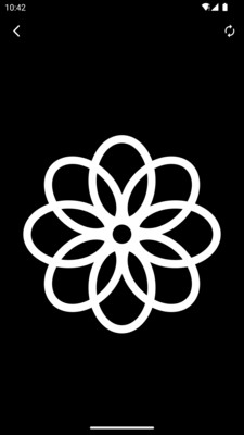 黑白视觉卡