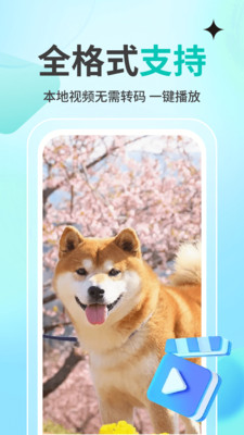 私人观影播放器player