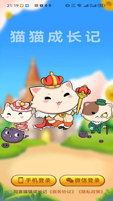 猫猫成长记