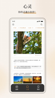 不忘星球