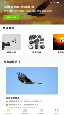 喜鹊福星