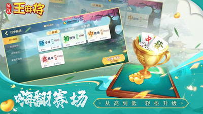 随便玩王麻将