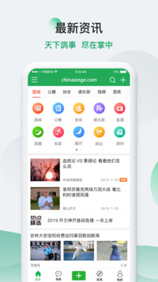中信网—信鸽信息网