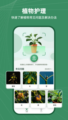 花草志