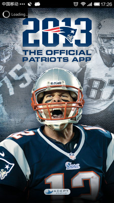 Patriots 2013