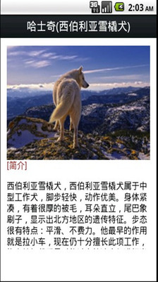 免費下載書籍APP|世界名犬大全 app開箱文|APP開箱王